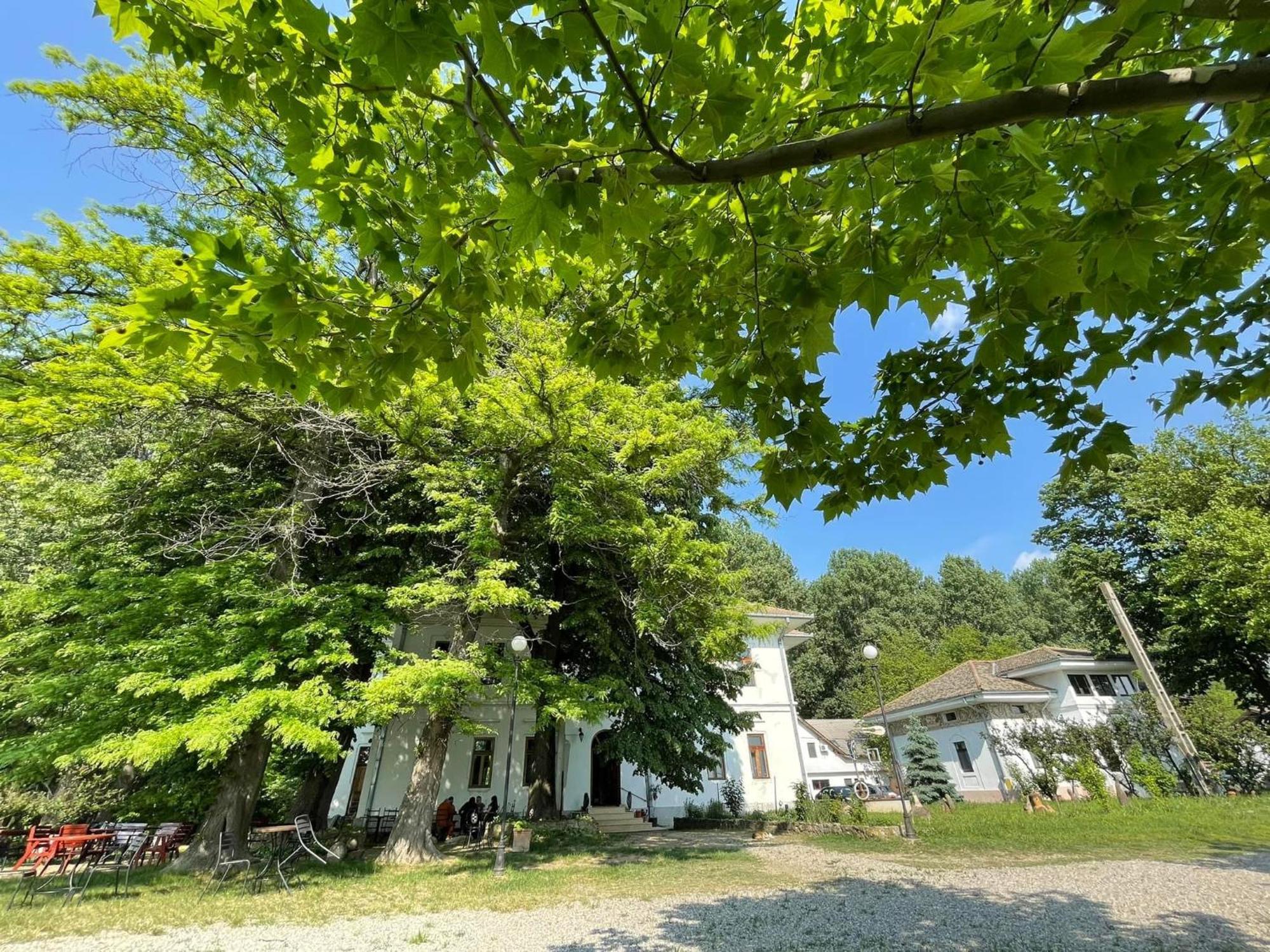 Casa Diamandi Vendégház Salcia Kültér fotó